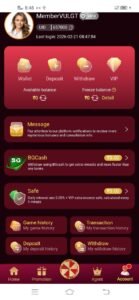 Play, Win, Repeat – Paglu Game! 4